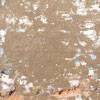 exfoliant